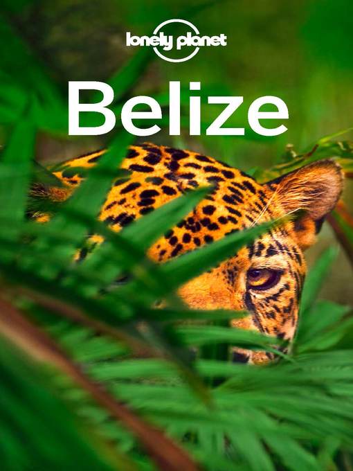 Title details for Lonely Planet Belize by Lonely Planet;Alex Egerton;Paul Harding;Daniel C Schechter - Available